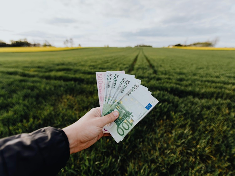 grond met geld